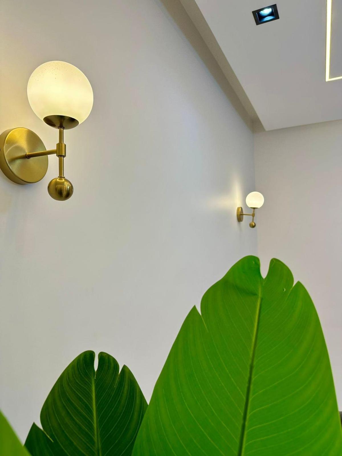 Apartment فاخره الجديدة